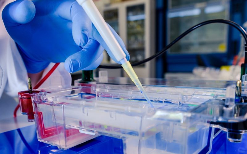 Protein G Column Antibody Purification