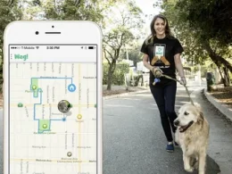Dog Walking App