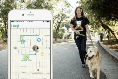 Dog Walking App