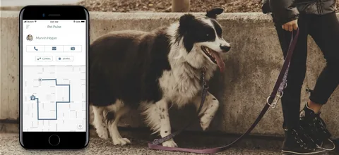 Dog Walking App