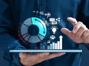 Software Consulting Services