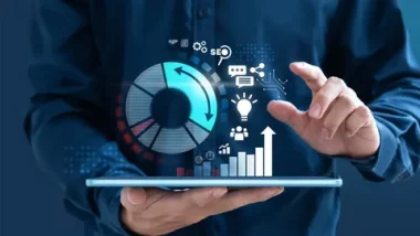 Software Consulting Services