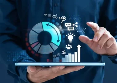 Software Consulting Services