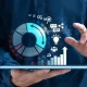Software Consulting Services