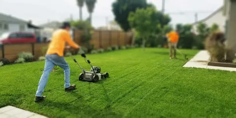 Lawn Maintenance