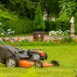 Lawn Maintenance