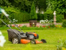 Lawn Maintenance