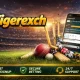 Tigerexch 365