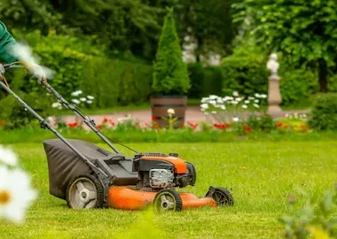Lawn Maintenance