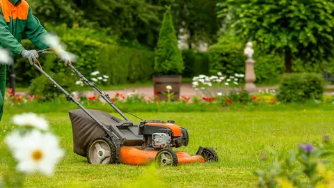 Lawn Maintenance
