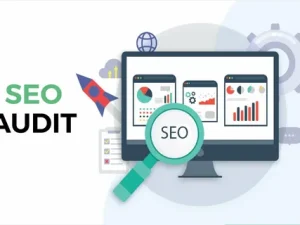 SEO expert