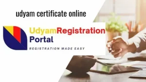 Udyam Registration Number
