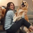 Pets