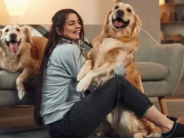Pets