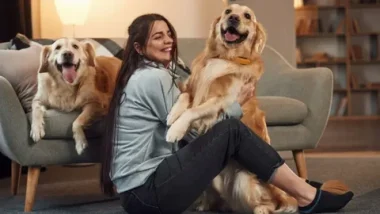 Pets