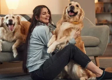 Pets
