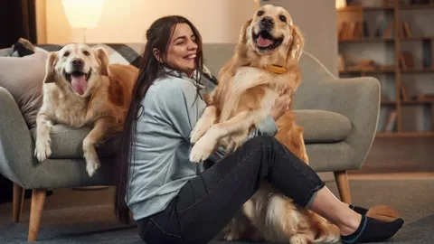 Pets