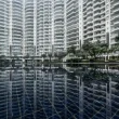 DLF The Camellias
