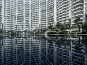 DLF The Camellias