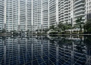 DLF The Camellias