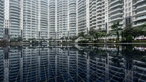 DLF The Camellias