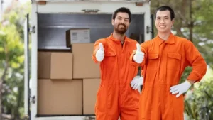 Professional removalists Dandenong