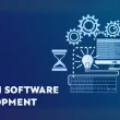 Software Development