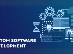 Software Development