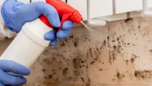 Kauai Water Damage Repair