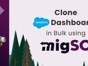 Guide to clone dashboards in salesforce