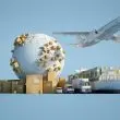 Logistics and Houston Texas Freight Forwarder